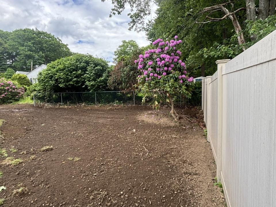 Dump trailer loaded with knotweed root material — hauled off-site